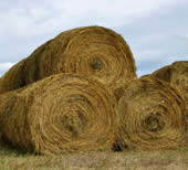 Round bale stack