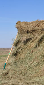 Haybale with fork